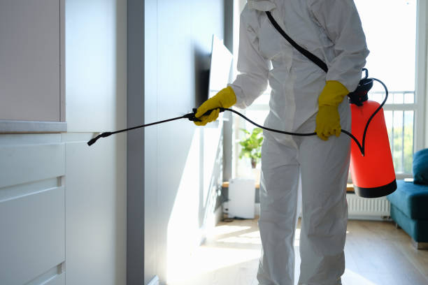 Best Indoor Pest Control  in Cheverly, MD